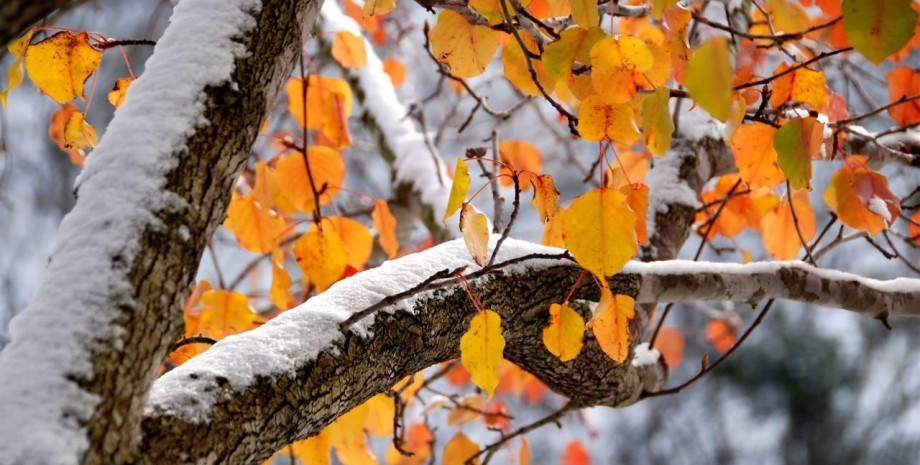 погода в октябре, погода, Укргидрометцентр, синоптик, заморозки, первый снег, первый снег