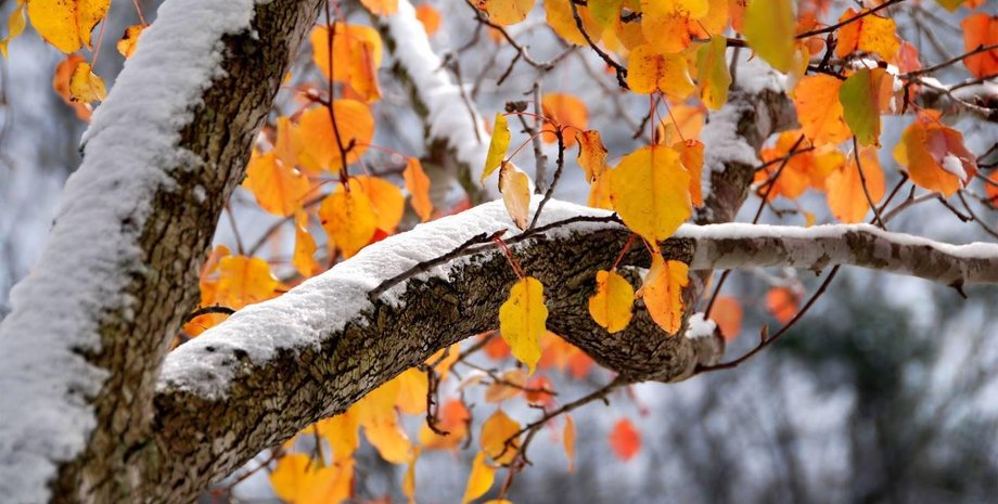 Морози в Україні — синоптики спростували чутки про "сувору зиму" Сніг осінню