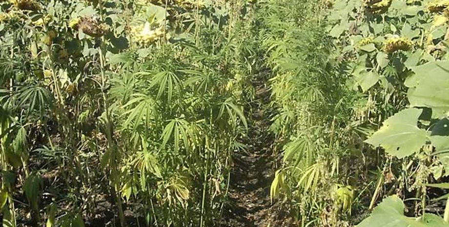 Фото пресс-центра СБУ