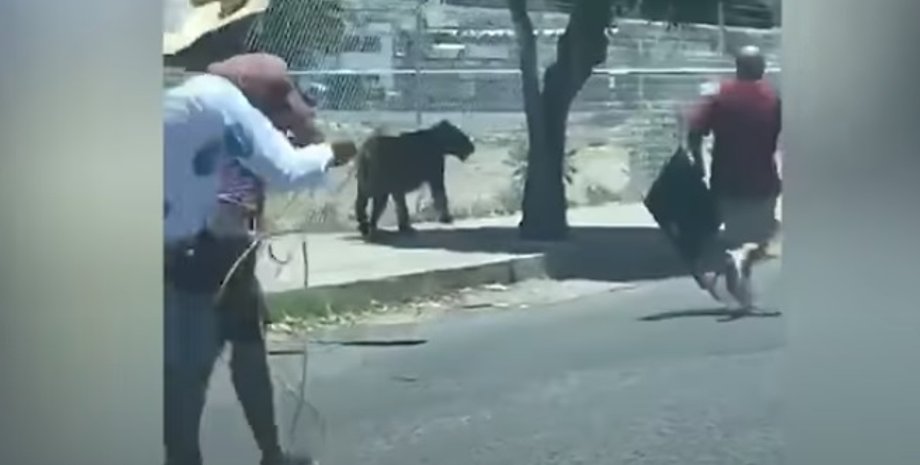 Скриншот видео