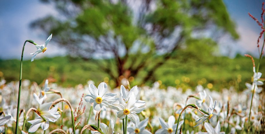 Фото: Getty Images