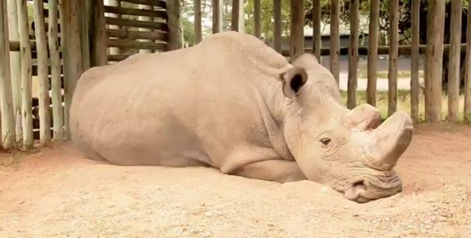 Фото: twitter.com/BiologistDan