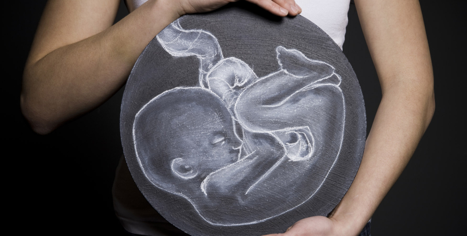 эмбрион, беременность, младенец