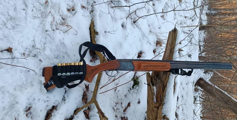 охотничье ружье, охота, оружие