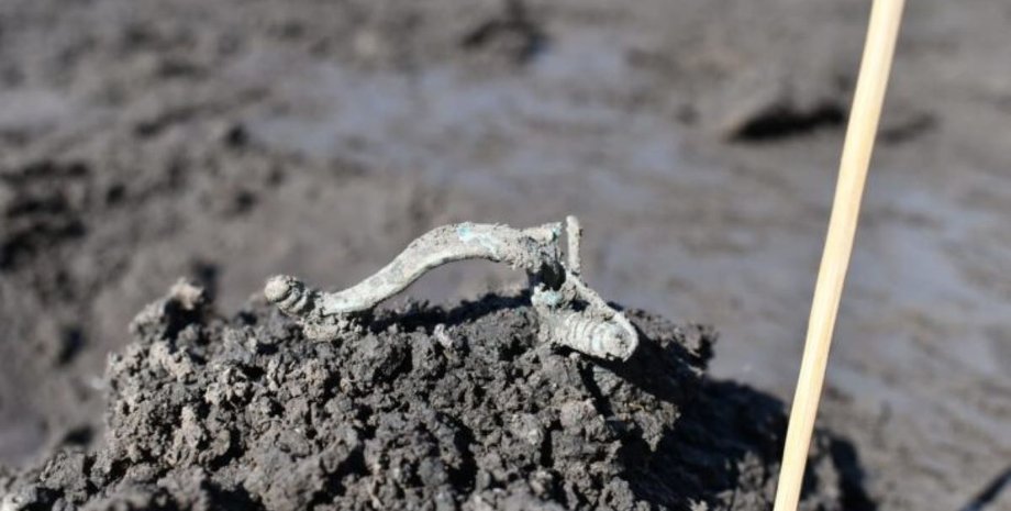 археологи виявили фібулу