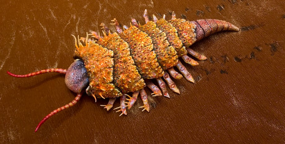 эутикарциноид, насекомое, следы, песок, рисунок, фото