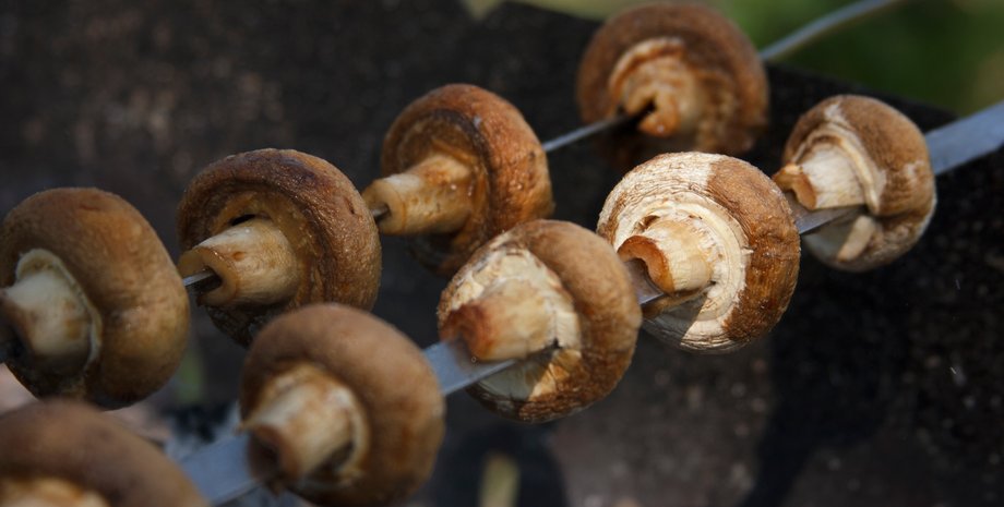 печериці, гриби, пікнік, мариновані печериці