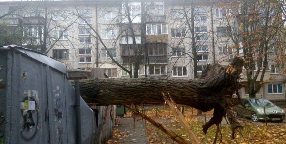 ураганный ветер, непогода, сильный дождь, поваленные деревья, травмированные люди, погибшие, обрыв проводов