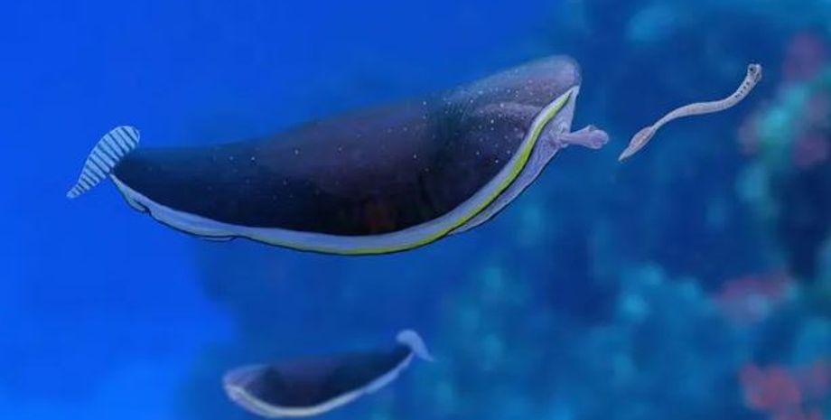 тифлоез, инопланетная рыбка