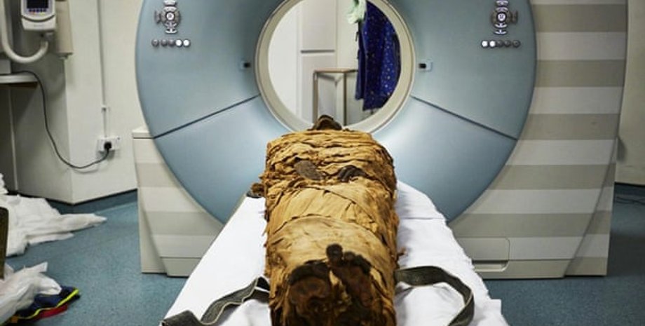 Фото: Scientific Reports