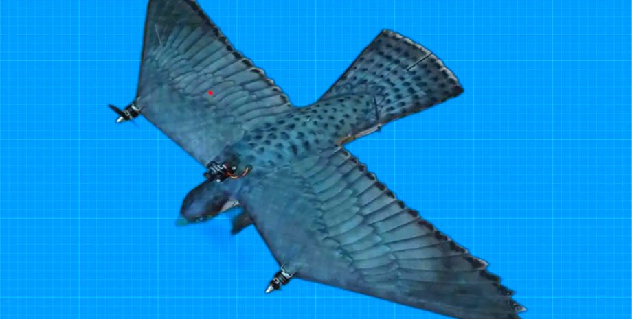 робот, робот сокол, робот птица, RobotFalcon