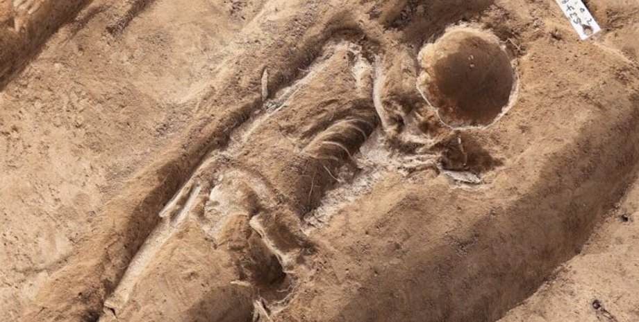 жінка, скелет, поховання, Німеччина, останки, обличчя, палац, кістки, археологи, археологія, дослідження, вчені, лабораторія, смерть