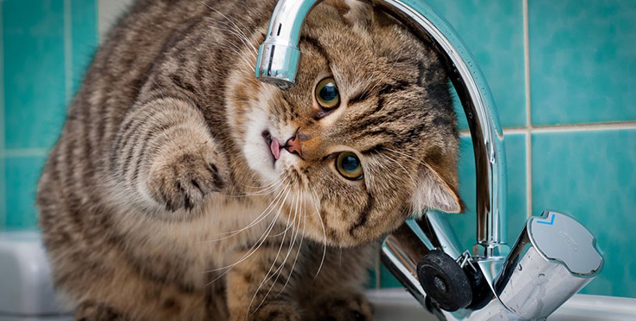 Фото: anypics.ru