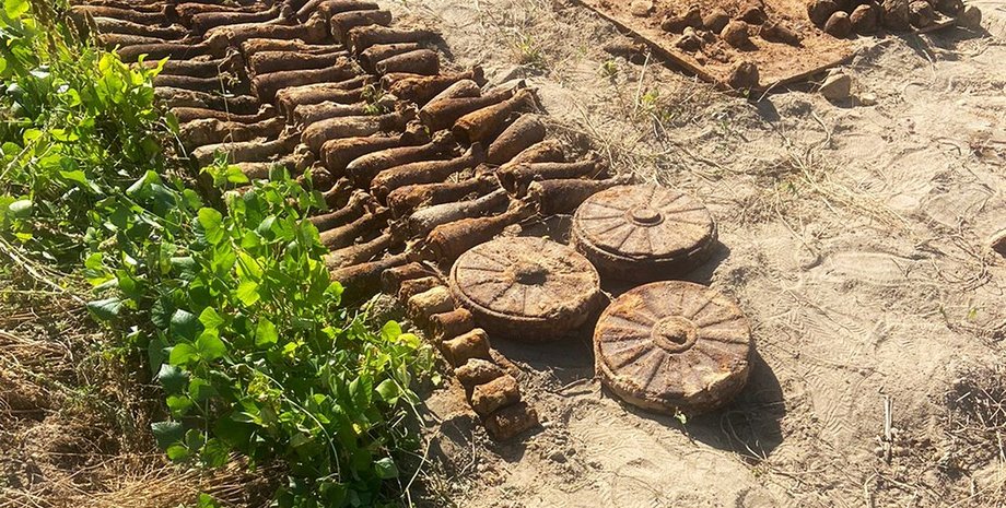 Миры, огород, Житомирская область, оружие, боеприпасы