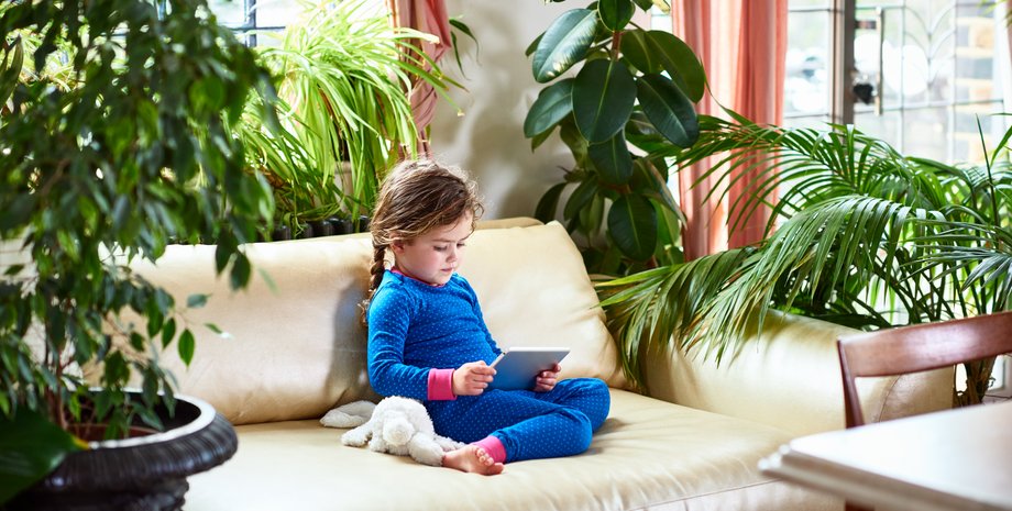 растения для детской, ребенок, цветы в детской