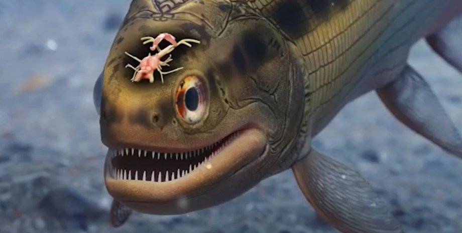 древний мозг рыбы