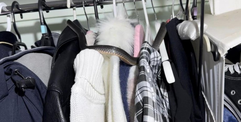 Змея в шкафу, малоглазая змея, ядовитая змея, детская одежда, рептилия, скрытная змея, не видел такого раньше