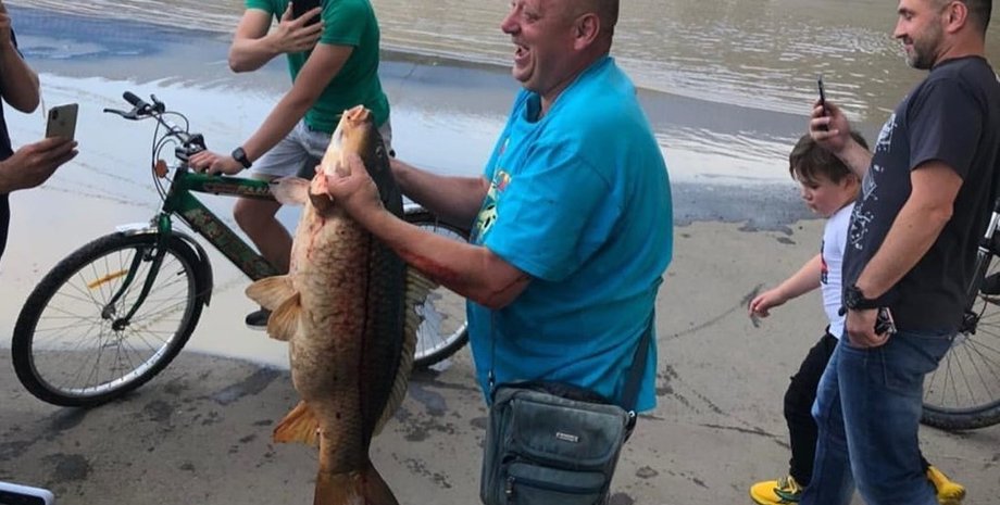 Скриншот из видео