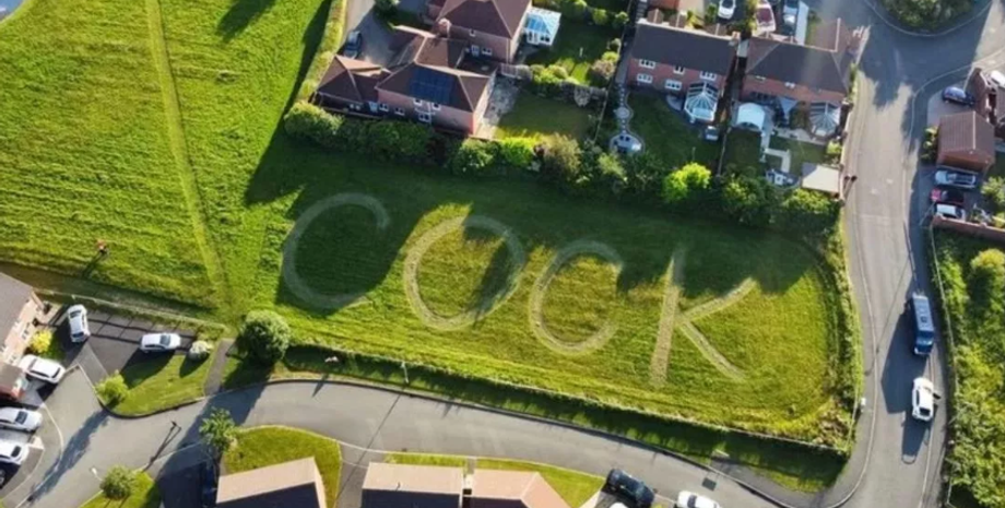 Надпись в поселке Элоу, слово на траве, курьезы, фото, приколы, Великобритания, Даррен Стерри, скандал