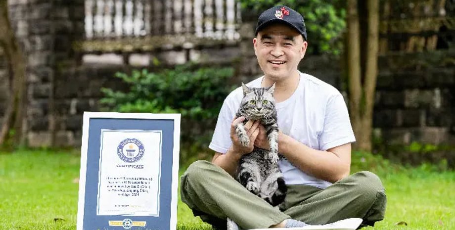 кіт-рекордсмен, книга рекордів гіннеса, катання на скейт-борді