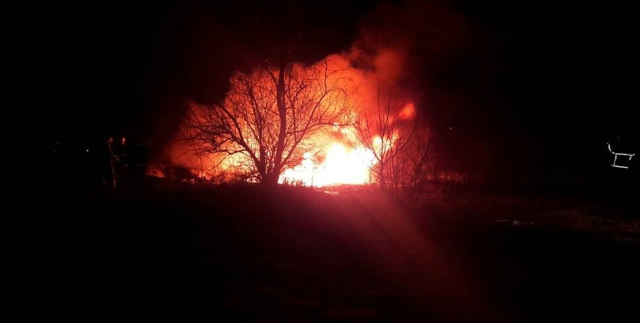 Фото: telegraf.in.ua