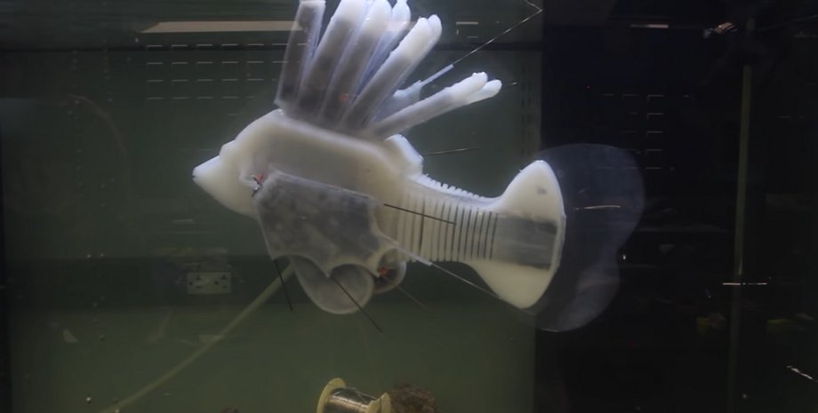 робот, рыбка, робот-рыбка