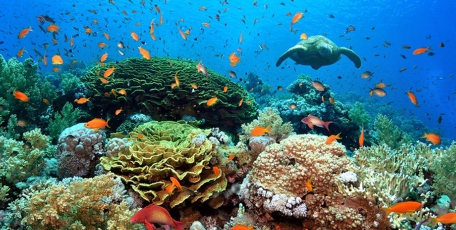 Фото: EgyptFan.ru