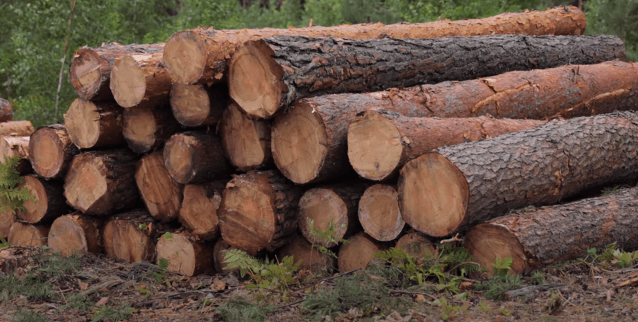 дрова