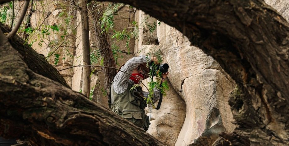 Наскальные рисунки нашли в штате Идальго