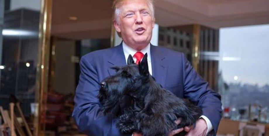 Фото: Большой Вопрос