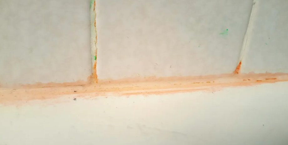 бактерія, рожевий наліт, рожевий слиз, ванна