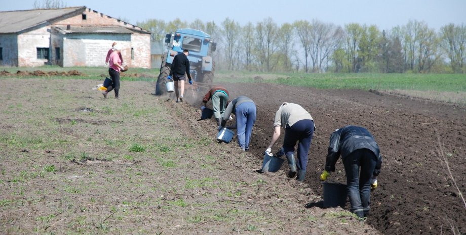Фото: УНИАН