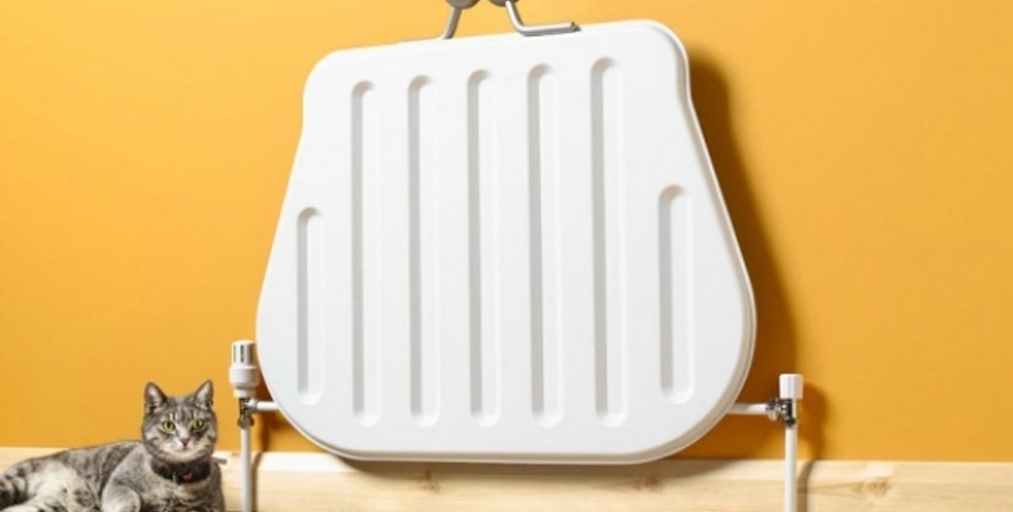 Фото: ИА Regnum