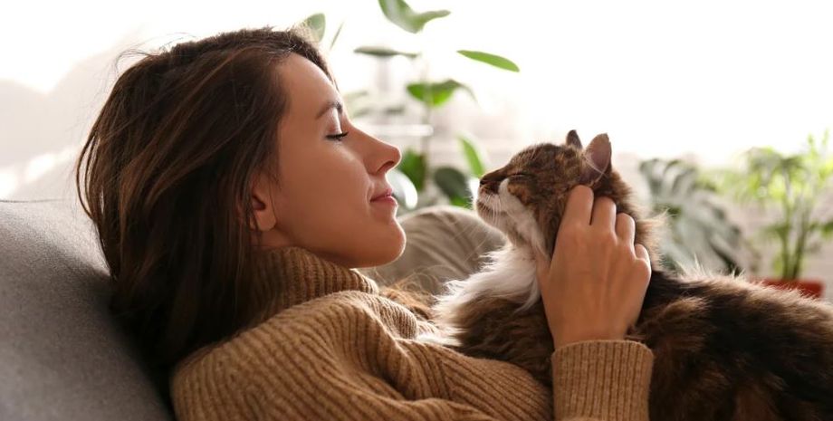 Кошка с уникальным окрасом шерсти, животные, домашние любимцы, социальные сети, Италия, курьезы