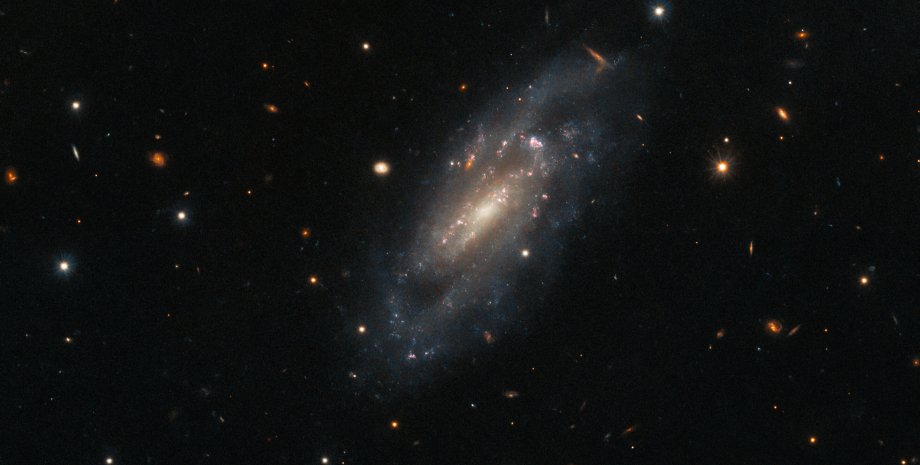 галактика UGC 11860