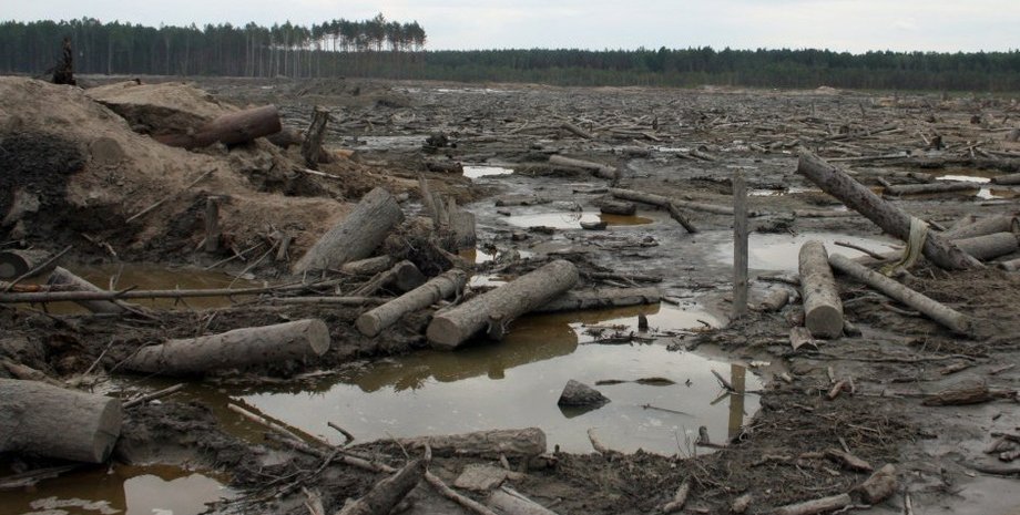 Фото: УНИАН