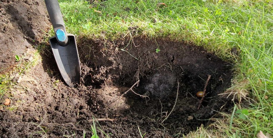 артефакт, вікінги, Норвегія, металошукач, знахідка, скарб, археологи, поховання, сім’я, золото, сережка, історія, наука, відкриття