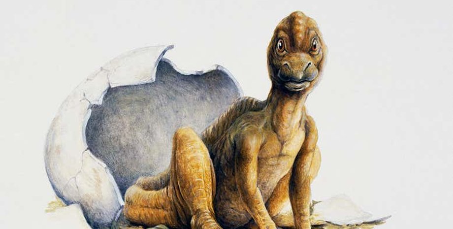 Иллюстрация: Universal Images Group North America LLC/DeAgostini/Alamy