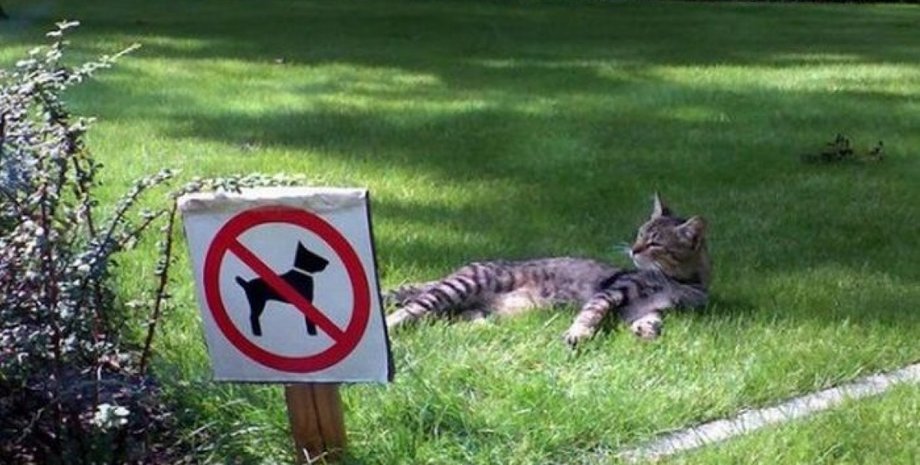 Фото:plus.google.com