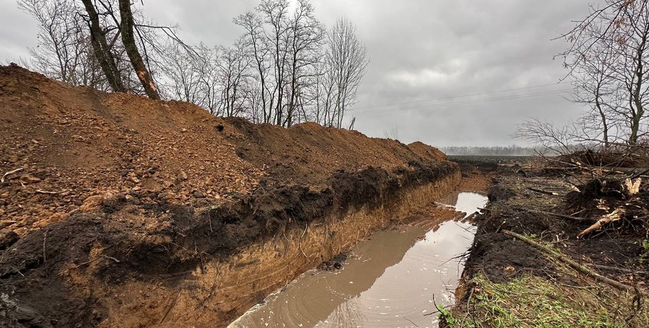 Білгородська засічна риса, засічна риса, засічна риса білгород
