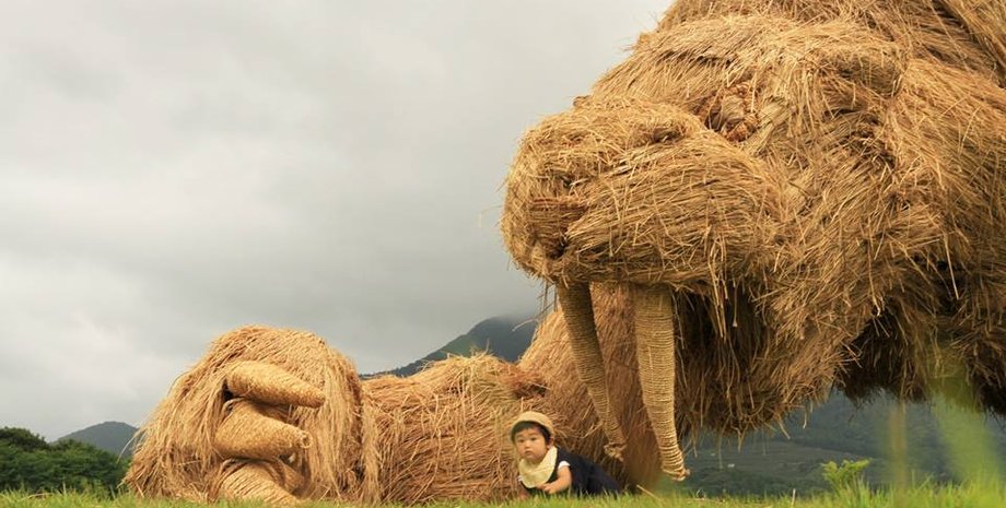 Фото: facebook.com/waraartmatsuri