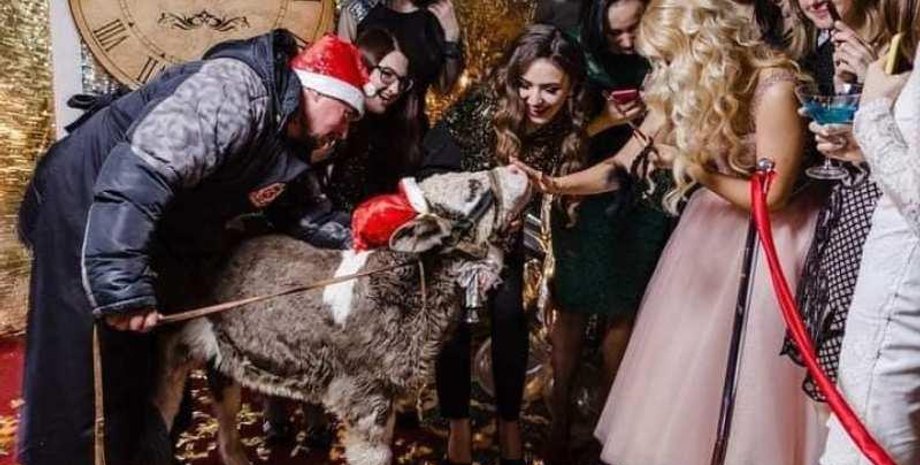 Oriflame, Животные, Фотосессия, Корпоратив, Теленок