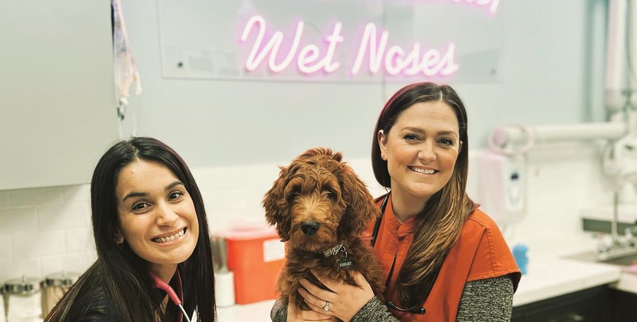 Молли Бринкман , двойник Кейт Миддлтон