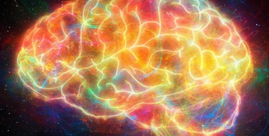 сигналы мозга мозг, сигналы мозга