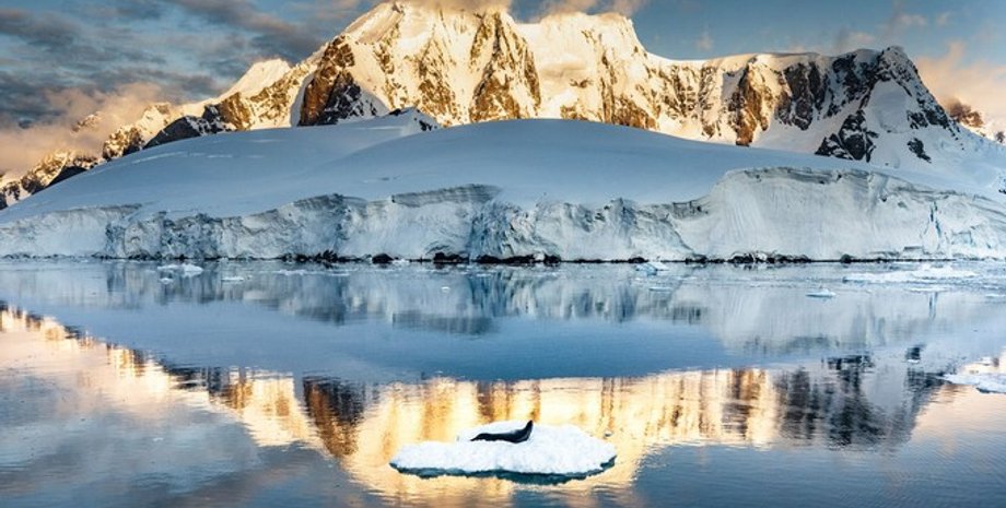 Антарктида