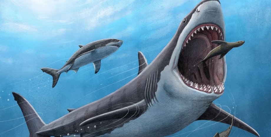 древняя гигантская акула