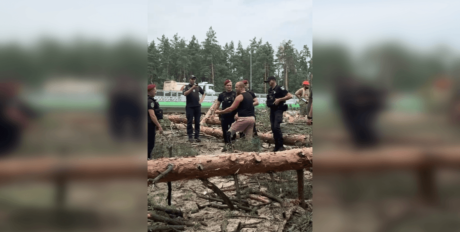 Конфликт с ветераном войны произошел в Мархаловском лесу