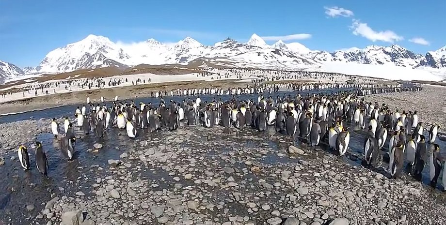 Скриншот видео