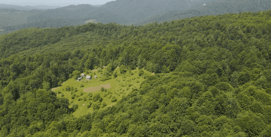 Дом Марии среди леса