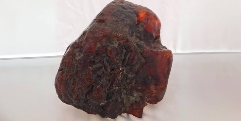 огромный янтарный самородок крупнейший янтарный самородок